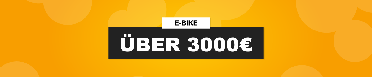 E-Bike über 3000 €