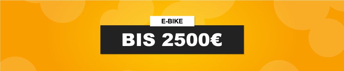 E-Bike bis 2500 €