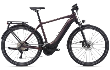 GIANT - Explore E+ 1 Pro rosewood/black satin-matt-gloss Trekking-E-Bike
