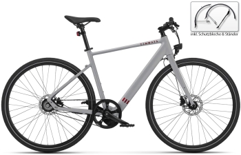 TENWAYS - CGO600 light grey Urban E-Bike