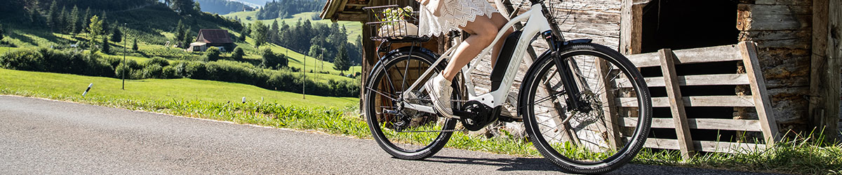 Damen-Trekking-E-Bike