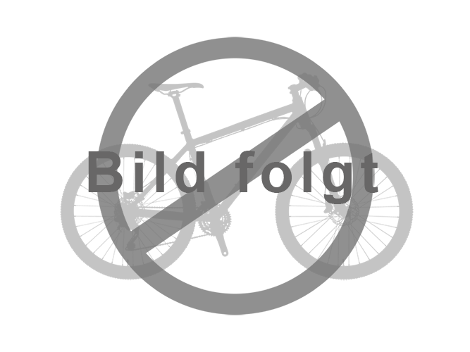 Unplattbare fahrradreifen Fahrradreifen Test. 20200305