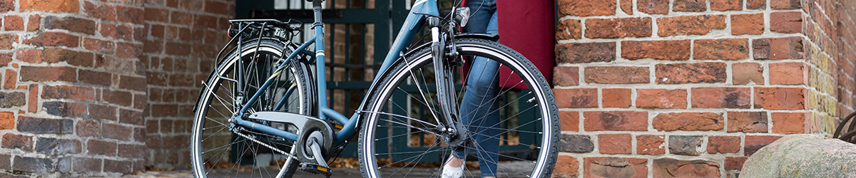 Damen Citybike Comfort