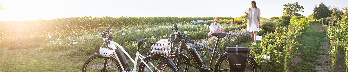 Diamant Trekking E-Bikes mit Blumenfeld im Hintergrund