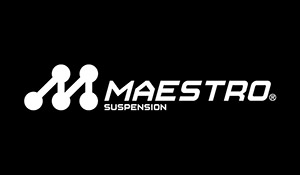 Maestro Supsension Icon