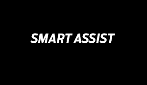 Smart Assist Icon